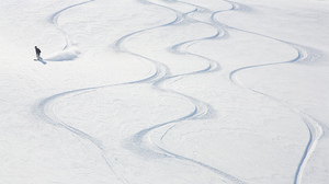 リーダーの本質は、肩書きではなく「事実」に宿る