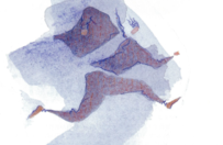 「個」を活かす企業への進化プロセス