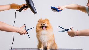 優れたマネジャーは、人員配置の最適化で真価を発揮する