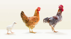 従業員を維持するためにはマネジャーに投資しなければならない