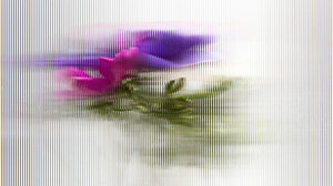 リーダーは職場で持病を公表すべきか否か