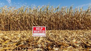 人手不足を解消する、SNSやAIを活用した革新的な採用手法