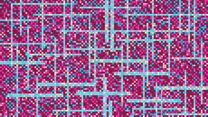 AI戦略を左右する新しいネットワーク効果とは何か