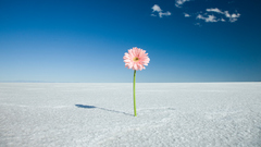 人材を求めるスタートアップにとって高尚なパーパスは裏目に出るおそれがある