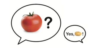 カルチャー・マップ：世界を8つの指標で理解する