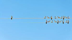 組織改編で自分の立場が危うくなった時、どう対処すればよいのか