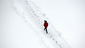 自信がなくても勇気を出して行動すれば、キャリアの成功に近づける