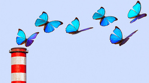 カーボンオフセットの課題は永久債の活用によって克服できる