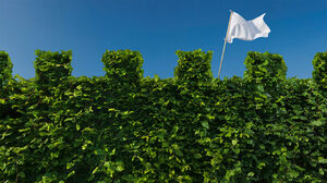 「助けを求めること」への抵抗感を取り払う6つの方法