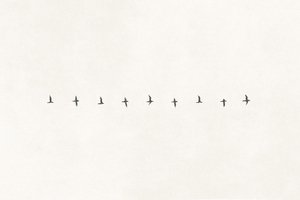 経営システムを構成する14のプロセスとは