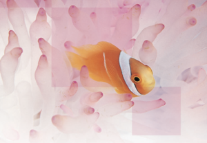 共進化のシナジー創造経営