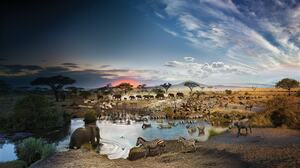 気候変動をめぐる意思決定に取締役会が関与すべき理由