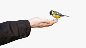 信頼されない組織に共通する10の問題