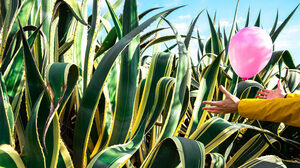 従業員のシニシズムは職場を急速に蝕んでいく