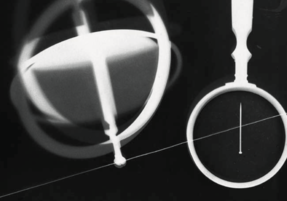 ビジネス・リーダーの養成を目指して