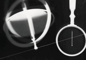 ビジネス・リーダーの養成を目指して