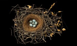 安全性への投資を業績向上につなげる5つのプロセス