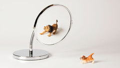 あなたは周囲からどう見られているか