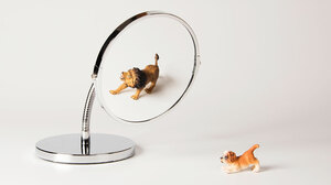 あなたは周囲からどう見られているか