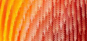 CHROは経営者たれ