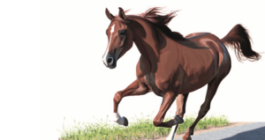 新興国で台頭する起業家コミュニティ