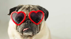 ビジネスにおける「愛」の価値を軽視していないか