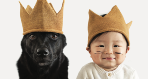 職場でスポンサーシップを正しく機能させる方法